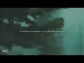 cute is what we aim for - the curse of curves (lyrics)