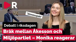 Bråk i riksdagen mellan Jimmie Åkesson och Miljöpartiet – Monika reagerar