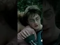 Download Lagu I’m In A Field of Dandelions 🥺🥰 | Harry Potter Edit  | Hermione Granger