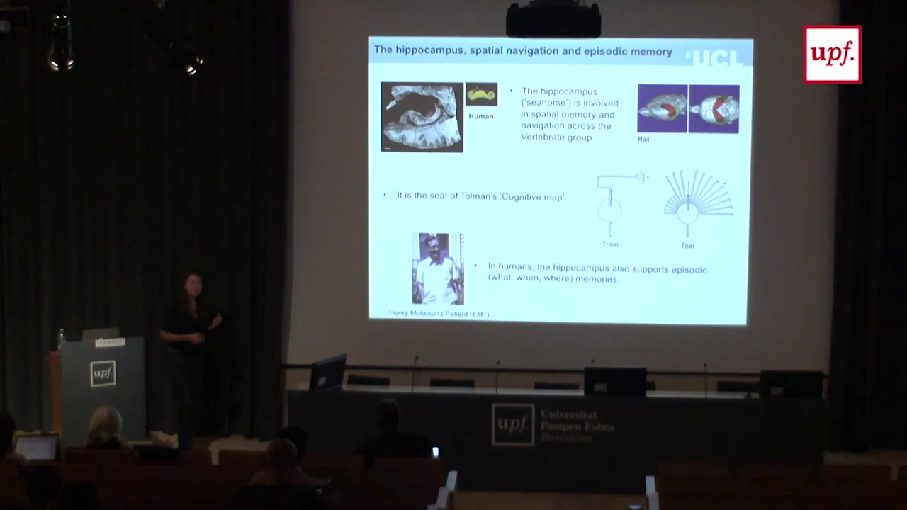 Francesca Cacucci BCBT 2017 Lecture