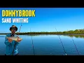 Lagu Donnybrook | Whiting Fishing