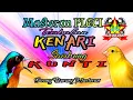 Download Lagu Masteran Pleci Tembakan Kenari Sambung Kunti Suara Jernih