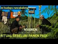 Download Lagu tradisi nyawen || ritual sebelum panen padi || rancakalong sumedang