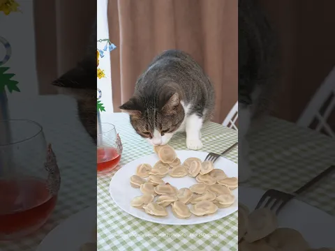 У Жени неудачный день😵‍💫 #котики #cat
