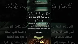 ألم تر كيف ضرب الله مثلا كلمة طيبة كشجرة طيبة أصلها ثابت وفرعها في السماء آية وتفسير 