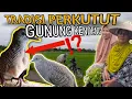 Download Lagu LUAR BIASA...‼️ TRADISI LELUHUR PERKUTUT LOKAL PEGUNUNGAN KENDENG, KAYA BUDAYA⁉️ 