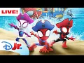 LIVE 24 HOURS Marvel s Spidey and His Amazing Friends w NEW Pirate Adventures disneyjr