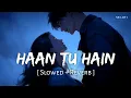 Lagu Haan Tu Hain (Slowed + Reverb) | Pritam, KK | Jannat | SR Lofi