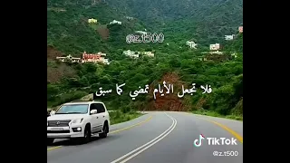 تمر بنا الأيام سرعة كأننا دندنها