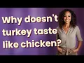 Why doesn t turkey taste like chicken