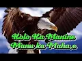 Download Lagu LAGU DAWAN _ OECUSSE || KOLO KA MANINE _ MANU KA MAHA'E.