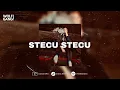 Download Lagu DJ STECU STECU - VIRAL TIKTOK (BOOTLEG) - DIASS WG