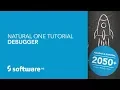 Natural ONE Tutorial - Debugger