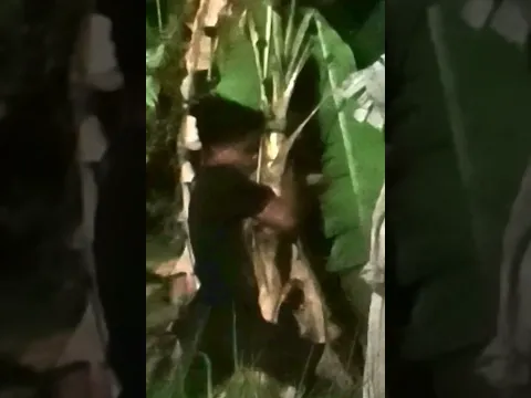 Video lucu bikin ngakak panik liat pocong #shorts #short #pocongsensasi #videolucu #exposecisoka