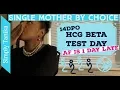 14 DPO hCG Beta Test Day AF is 1 Day Late