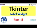 Creating Dynamic Text with Tkinter Label Widget in Python