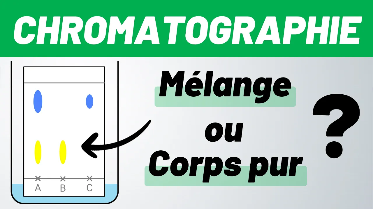 CHROMATOGRAPHIE sur couche mince ✅ MÉTHODE 💪 Seconde