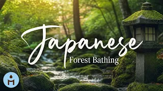 Japanese Forest Bathing ✦ Shinrin-Yoku Soundscape ✦ Nature Sounds & Shakuhachi Flute for Deep Peace