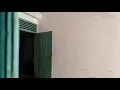 Download Lagu Viral|| Burung Walet Masuk Ke Rumah lewat Pintu,