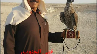 بطلت من حب زين وشين غناء الفنان فتى الجنوب سعيد ابومعيتق الغنامي أهداء العشق الشمال 