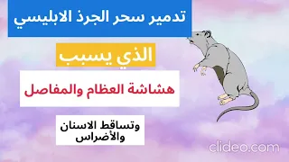 رقية ناسفة ومدمرة للجرذ الابليسي للتمريض العظام والاسنان واسقاطها 