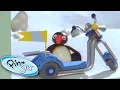 Download Lagu Pingu and the New Scooter! | Pingu Official | 1 Hour | Cartoons for Kids