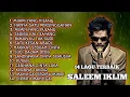 Download Lagu 14 LAGU EMAS SALEEM IKLIM | Lagu Malaysia terbaik terpopuler sepanjang masa 