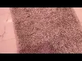 Yimobra Fluffy Bath Rug Set Shaggy Soft Non Slip Bathroom Rugs Machine Washable Thick Bathroom Floo