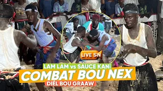 COMBAT BOU NEEX😂 LAM LAM DAAN NA SAUCE KANii DIÉL BOU GRAAW 