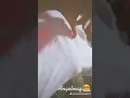FOLLOW ME ON TIKTOK ANGEL MAE CAMPOSANO