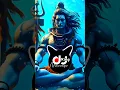 Download Lagu भोले की पगली Bhole Ki Pagli | EDM Remix | Sawan Special | Dj Kabir Mbd X Triple R #bholekipagli