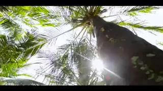 اروع كليب انشادي    على المدينه المدينه   المنشد الشيخ حمدي كنجو المخزومي دندنها