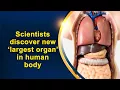 Big News Scientists discover new largest organ in human body Oneindia News