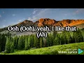 Metro Boomin - I Like That (Lyrics)