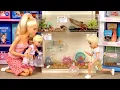 Barbie Doll Toddlers Get a New Pet Hamster