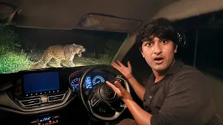 Leopard dikh gaya road pe rat ko 😰, halat khrab hogyi