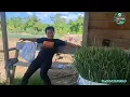Download Lagu KEDATANGAN TAMU DARI BERO BELI DAUN BAWANG DI TEMPAT MBAH SO 