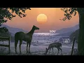 Old Dominion - Different About You (Official Lyric Video)