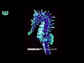 Download Lagu Watergate 20 - Matthias Meyer