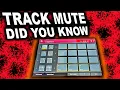 Akai MPC Beats Software Track Mute Tutorial All You Need To Know