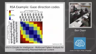 14 Multivoxel Pattern Analysis for Understanding Representational Content