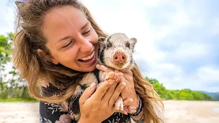 SWIMMING with a BABY PIG! Boat Life 🐷(Expedition Drenched S1 Ep.56)