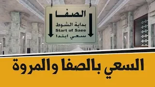 المناسك   السعي بين الصفا والمروة دندنها