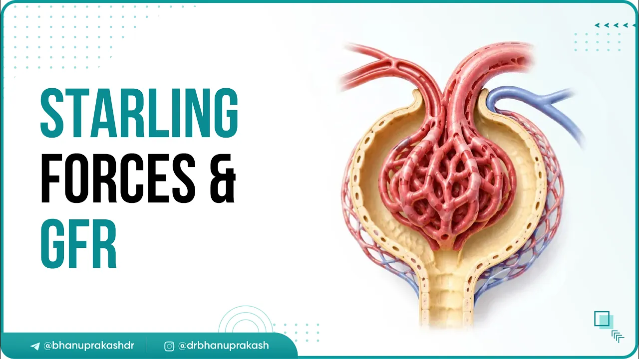 4. Starling Forces & GFR Explained | Renal Physiology | USMLE Step 1 🚰📊