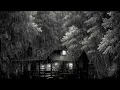 Download Lagu Gentle Rain Sounds With Owl at Night time in Forest Cabin for Deep Relaxation | Black Screen