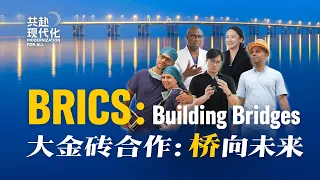 BRICS: Building Bridges