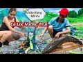 Download Lagu Vào Rừng Bắt Cá Lóc Nướng Trui Sinh Tồn Cùng Anh Em Một Ngày Nắng Gắt