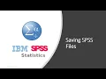 3 Saving SPSS Files