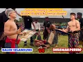 Download Lagu BALOK SELANDUNG jatuh terkapar oleh serangan SERAWAH PERINE namun bisa bangkit membalas terbaru