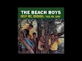 Beach Boys "Help Me Rhonda"